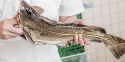 Derfor skal du velge skrei fremfor torsk akkurat nå